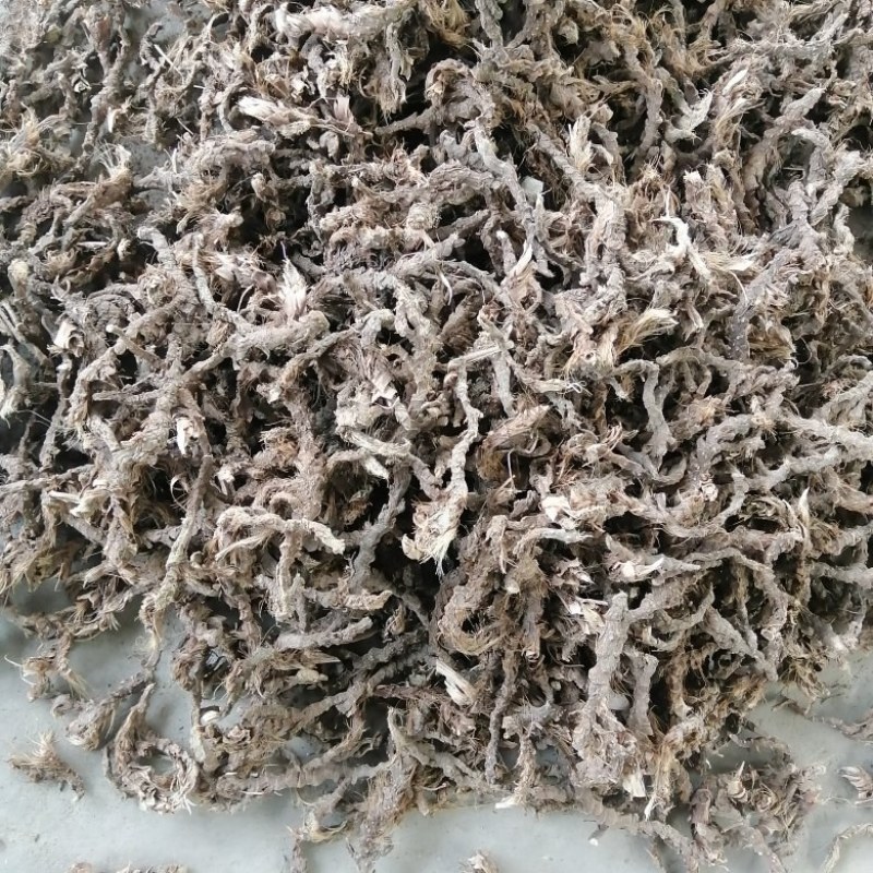 石菖蒲