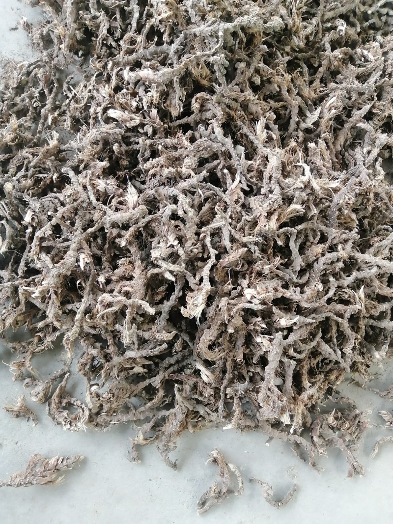 石菖蒲