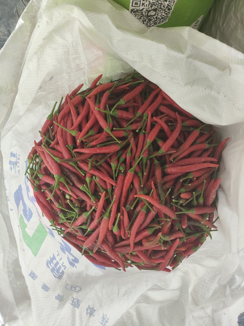 小米椒
