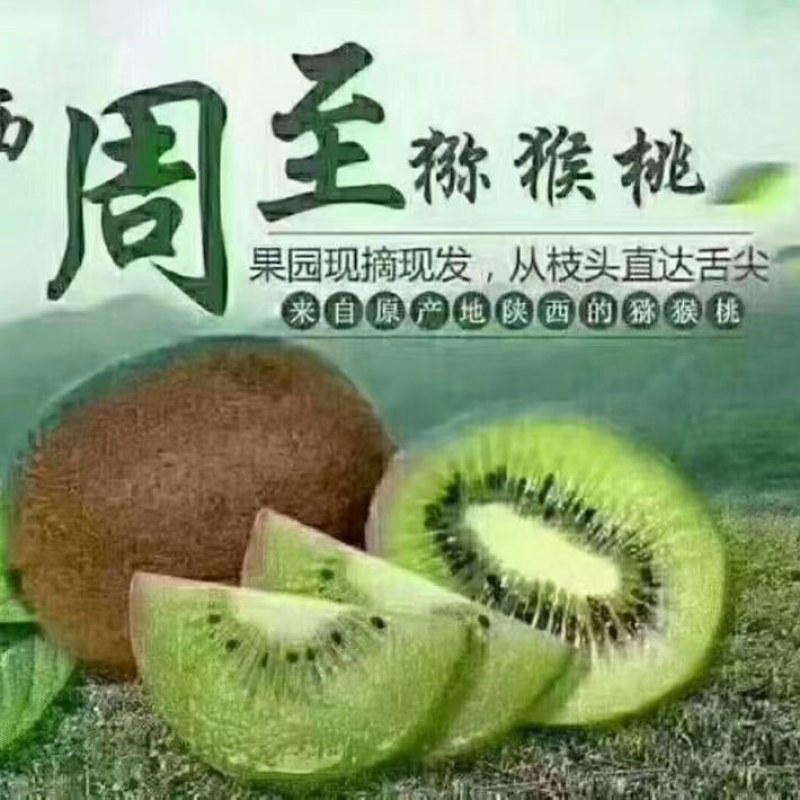 周至豆源猕猴桃专业合作社