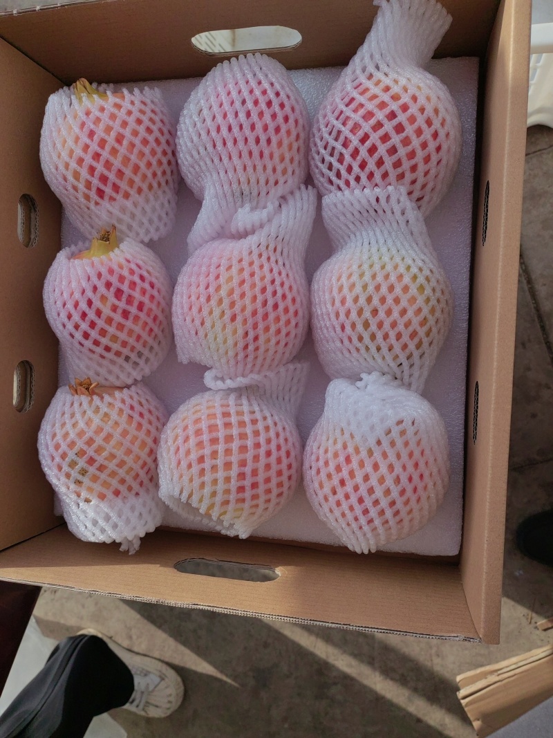 会泽盐水软子石榴