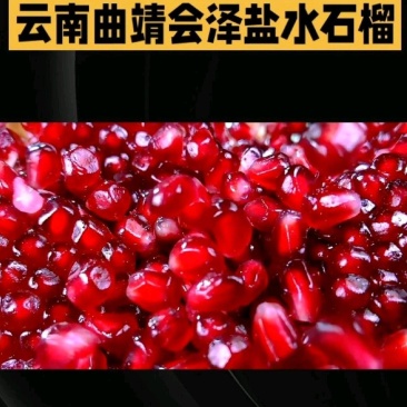 会泽盐水软子石榴
