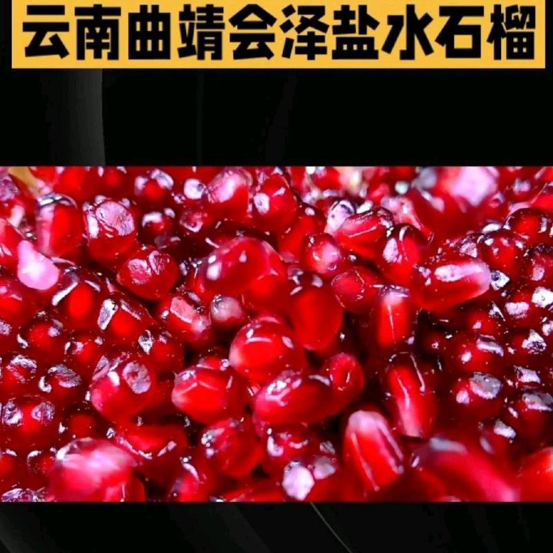 会泽盐水软子石榴