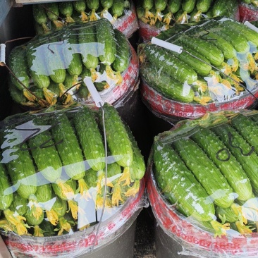 产地旱黄瓜1元起
