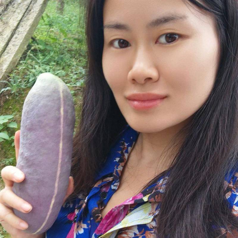 少籽八月瓜新鲜八月炸水果当季木通果特色鲜果预知子网红水果