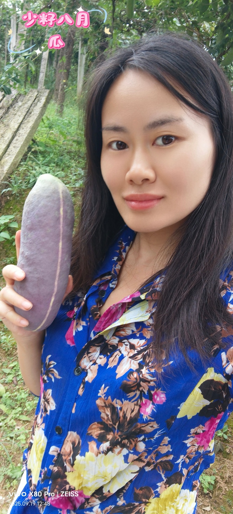 少籽八月瓜新鲜八月炸水果当季木通果特色鲜果预知子网红水果