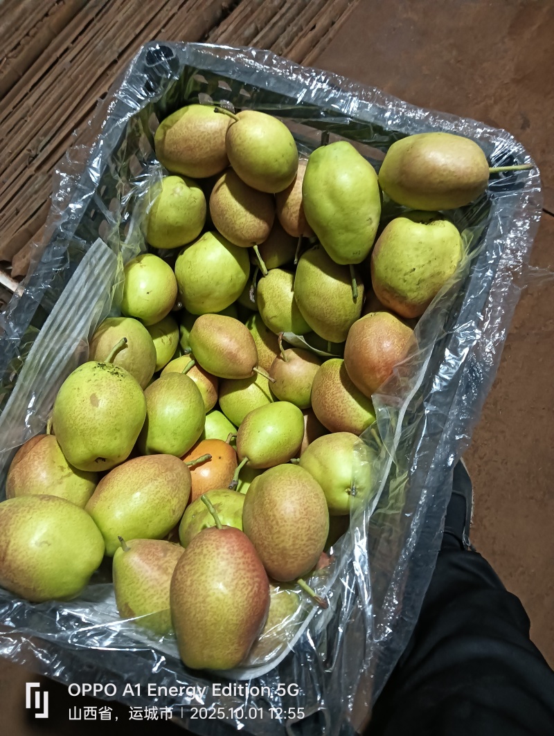 红香酥