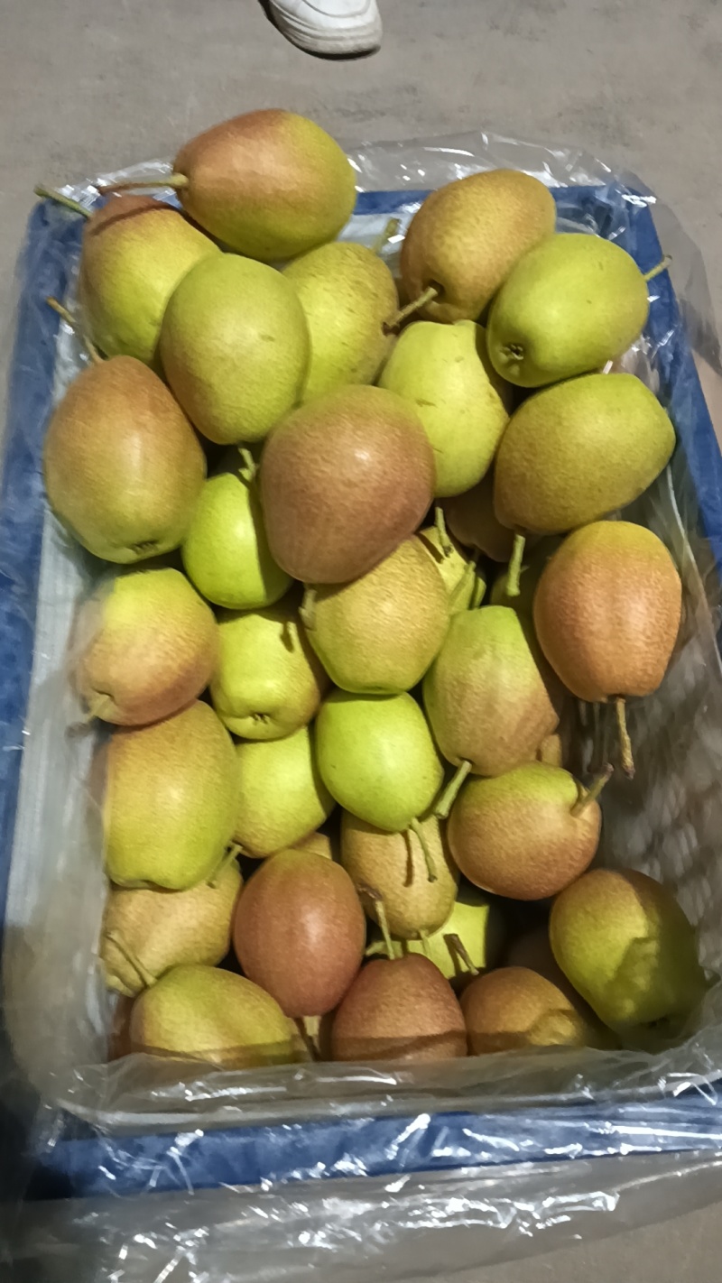 红香酥