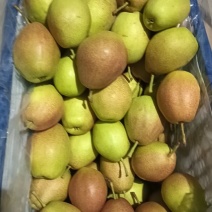 红香酥