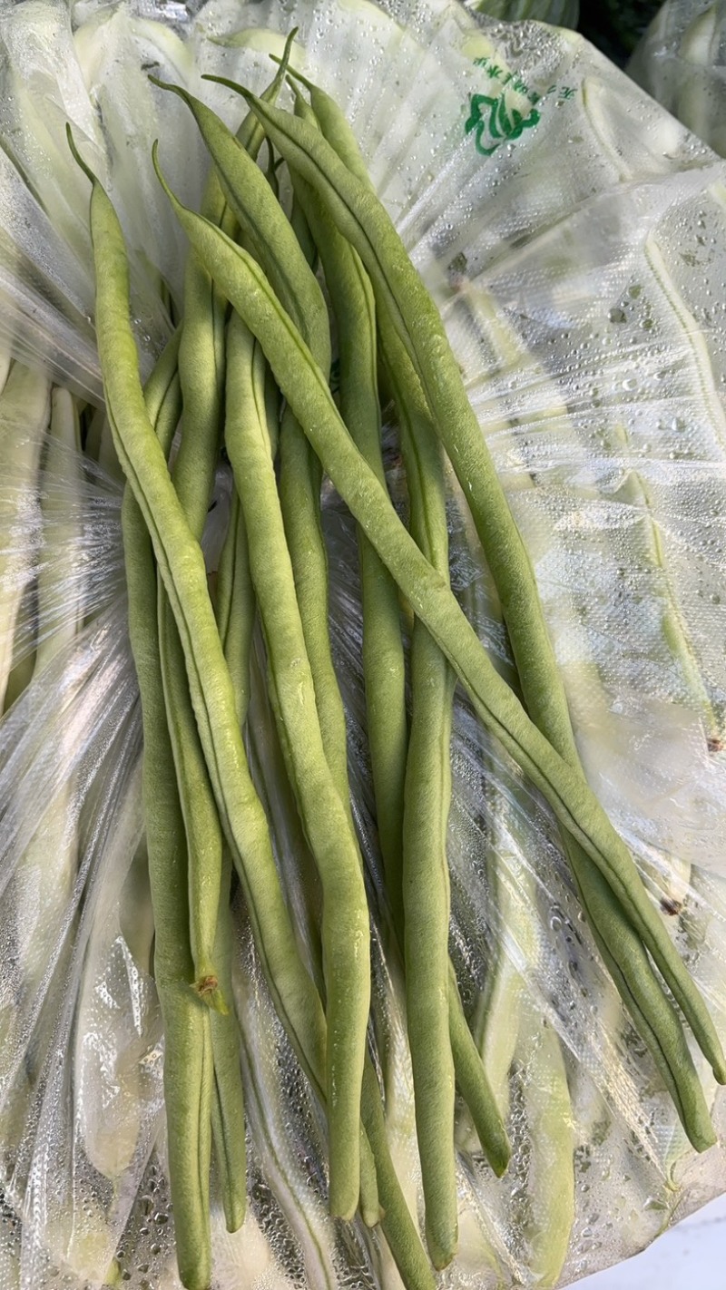 豆王，白豆，扁豆。