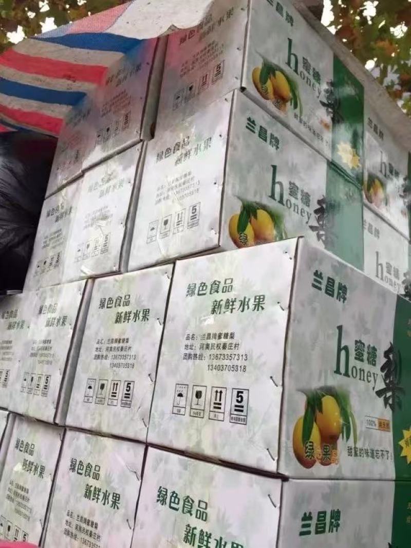 白皮酥梨，自家梨园，皮薄多汁，野岗镇平岗村