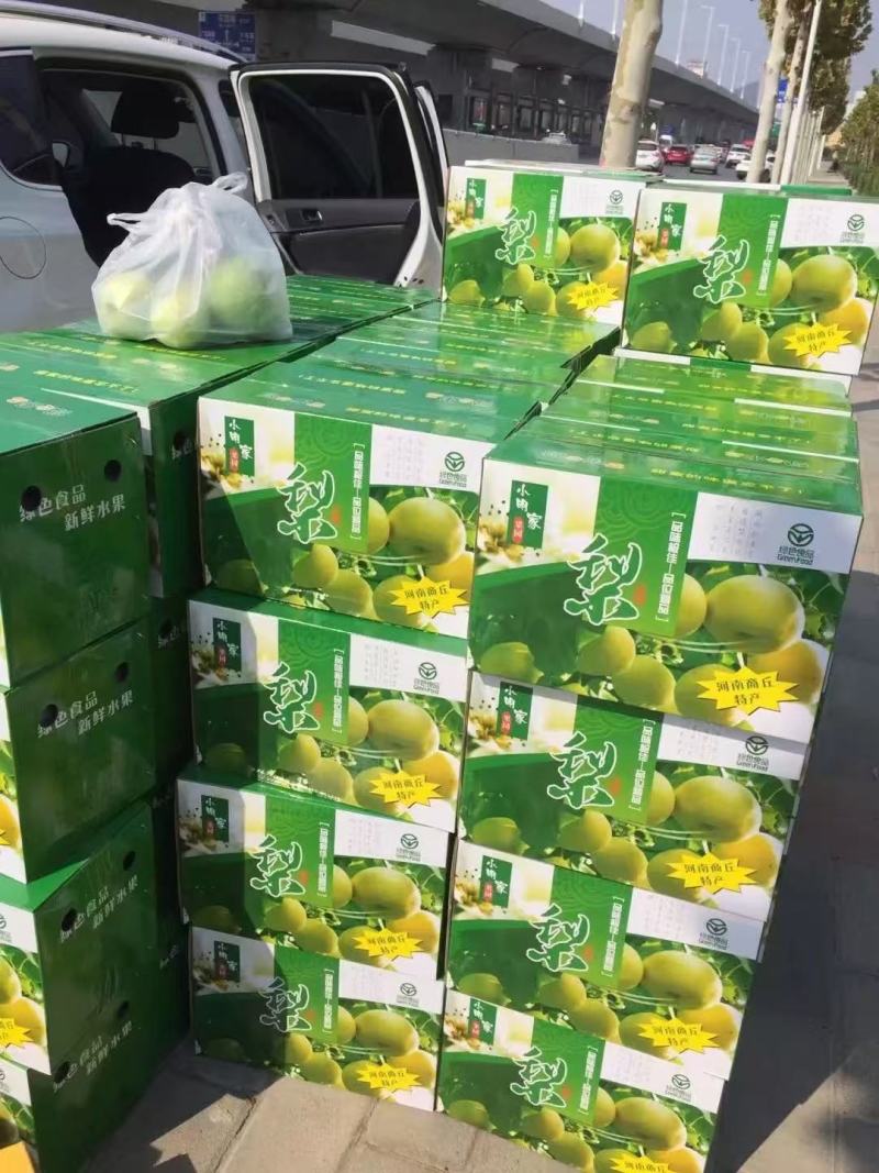 白皮酥梨，自家梨园，皮薄多汁，野岗镇平岗村