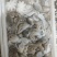 小八爪捞汁可用