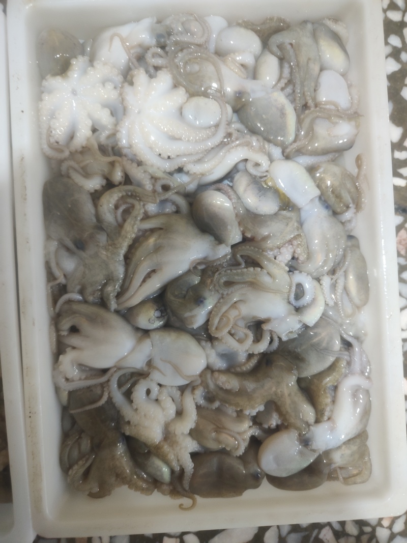 小八爪捞汁可用