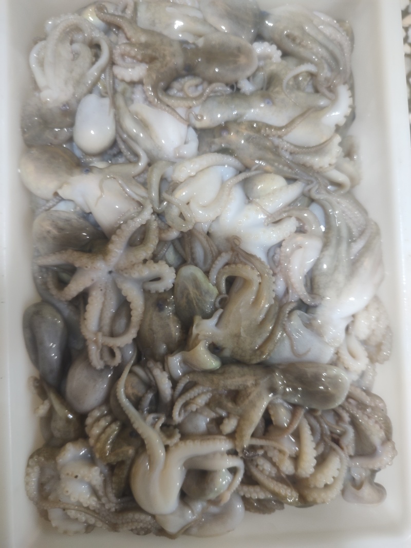 小八爪捞汁可用