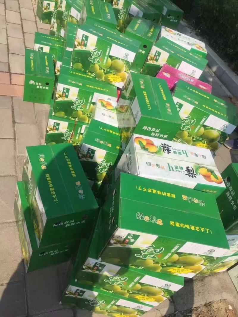 白皮酥梨，自家梨园，皮薄多汁，野岗镇平岗村