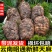 新鲜天麻正宗云南现挖产地直发仿野生三年一季林下生整箱包邮