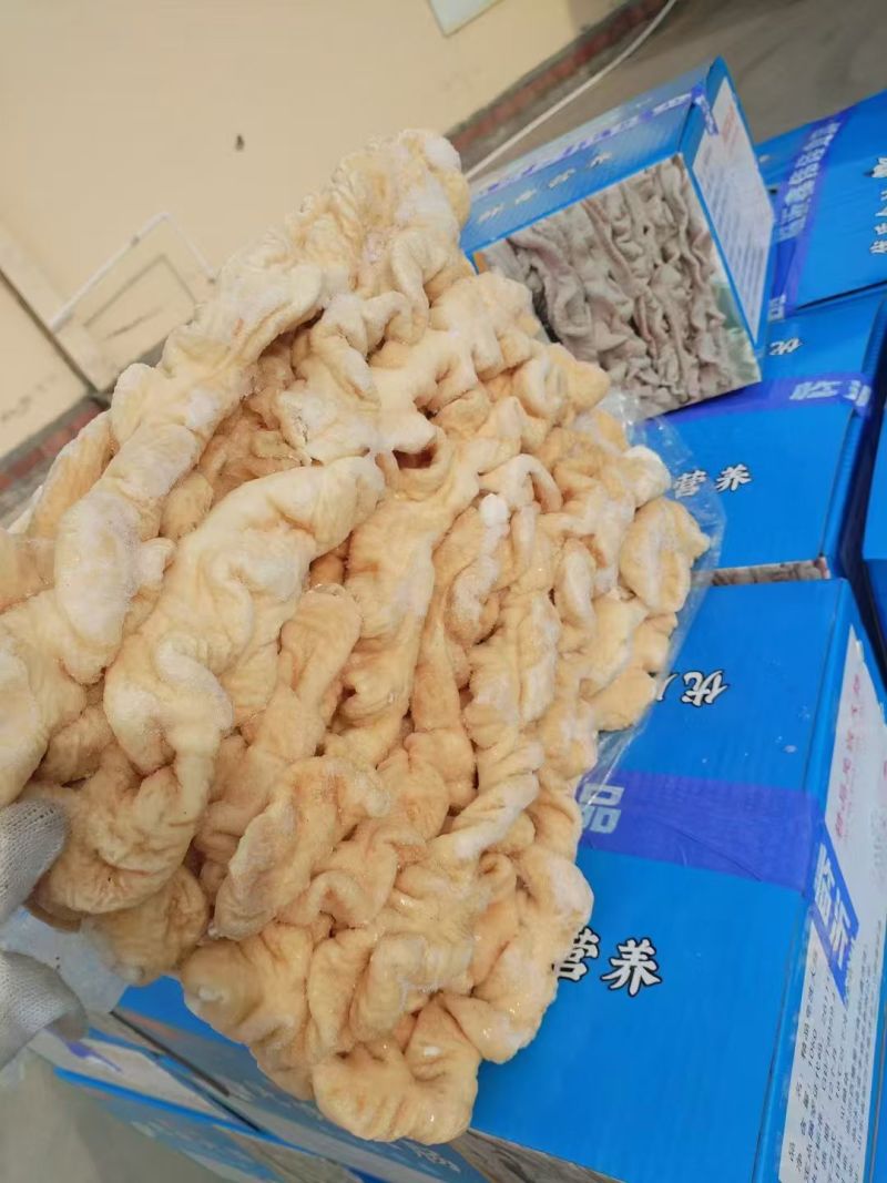 纯干的无油无水免洗八成熟大肠，20斤一箱