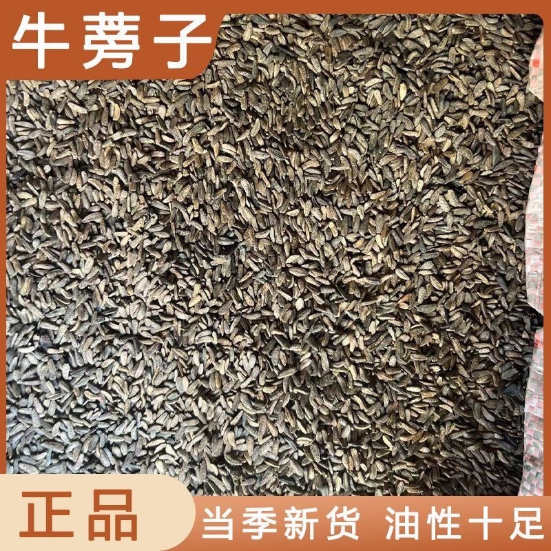 牛蒡子中药材正宗牛蒡子批发零售货真价实量大价低