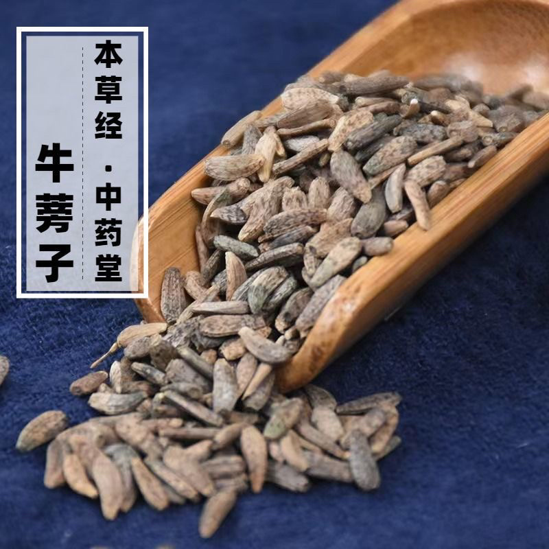 牛蒡子中药材正宗牛蒡子批发零售货真价实量大价低