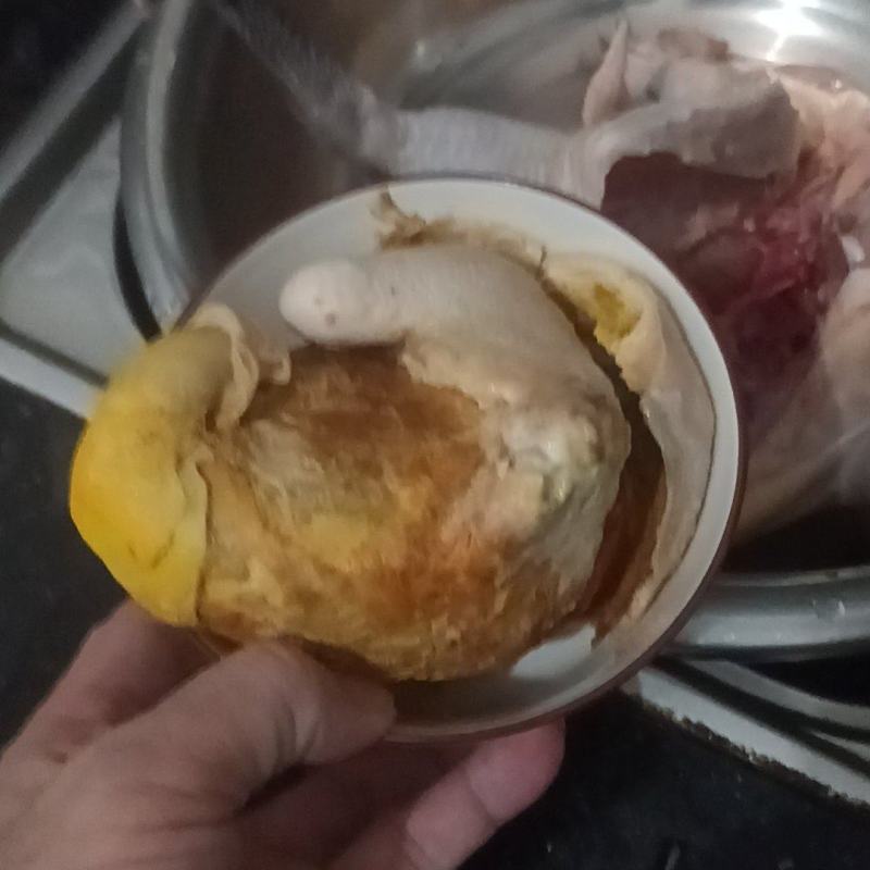 鸡宝