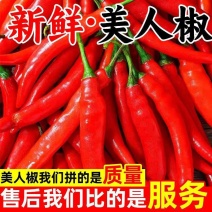 精品美人椒小米红尖椒品质有保障适合电商超市各大市场代发货