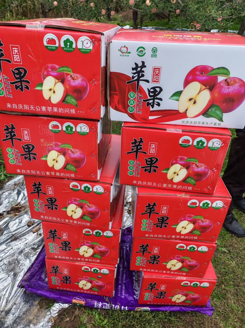 苹果