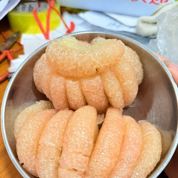 度尾文旦柚