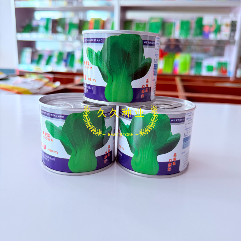 信福冬秀青梗菜种子耐寒耐抽薹耐抽苔春秋冬季上海青菜籽油绿