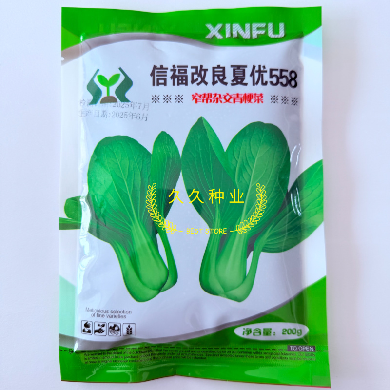 信福改良夏优558青梗菜种子耐热耐寒丰产四季小青菜小白菜