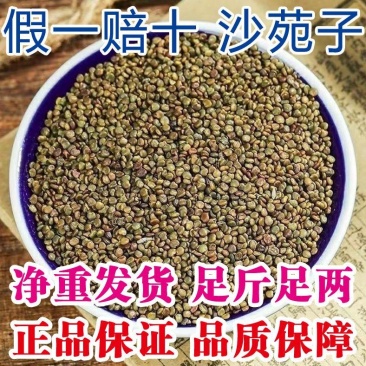 中药材正宗沙苑子野生正品包邮新货支持一件代发