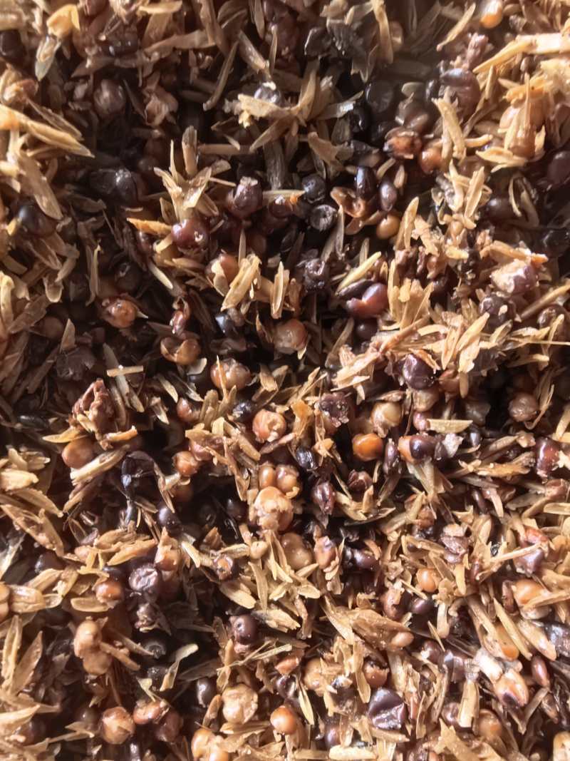 常年出售干酒糟，鲜白酒糟，酒糟粉，保量保价，量大从优！