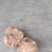 又脆又甜的地瓜