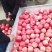 静宁红富士（需要客户私联