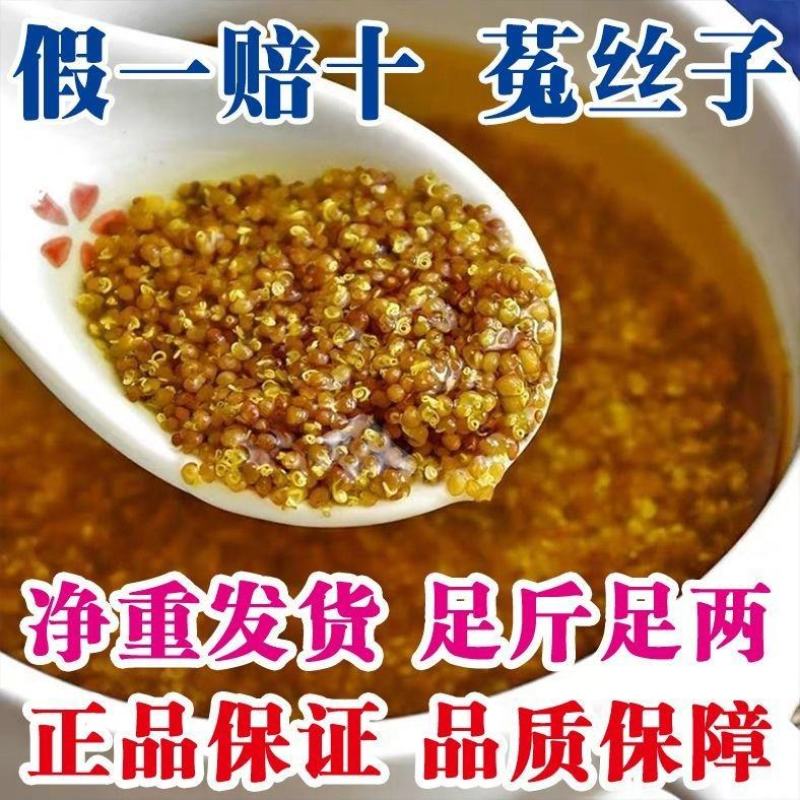 正品保障菟丝子内蒙正宗兔丝子中药材泡茶泡酒野生无硫免洗吐