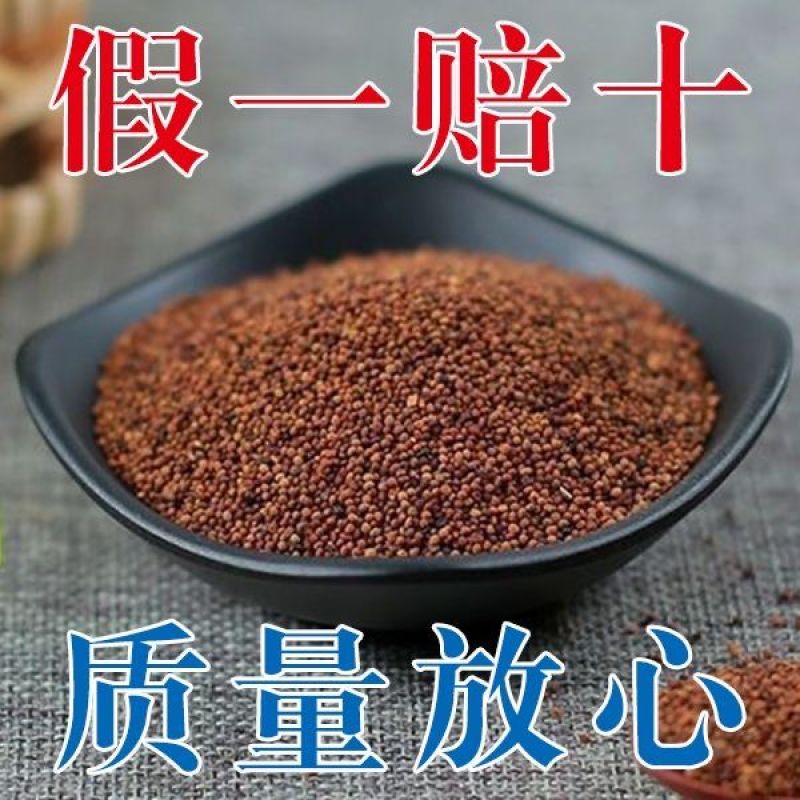 正品保障菟丝子内蒙正宗兔丝子中药材泡茶泡酒野生无硫免洗吐