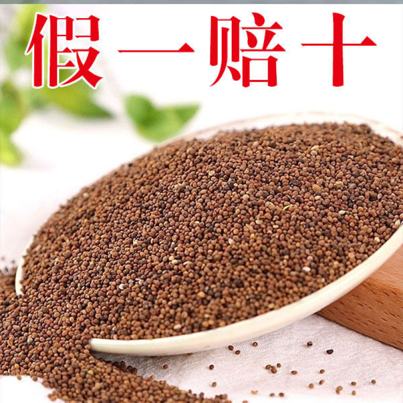 正品保障菟丝子内蒙正宗兔丝子中药材泡茶泡酒野生无硫免洗吐