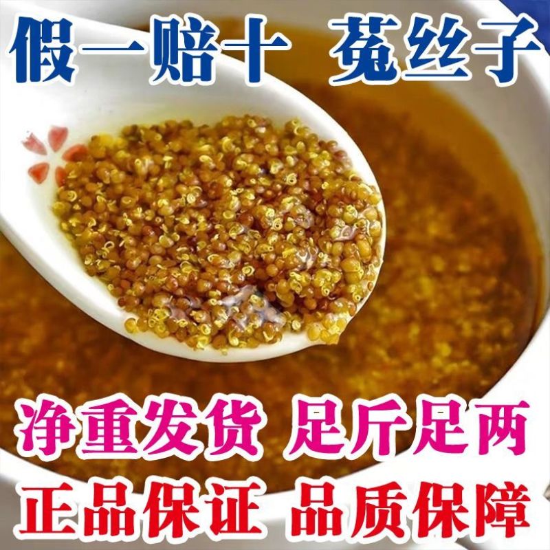 正品保障菟丝子内蒙正宗兔丝子中药材泡茶泡酒野生无硫免洗吐