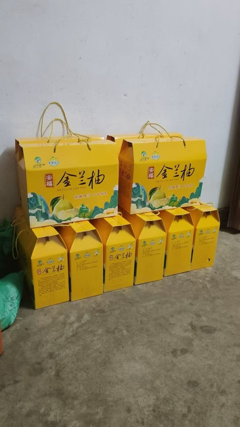 安福金兰柚