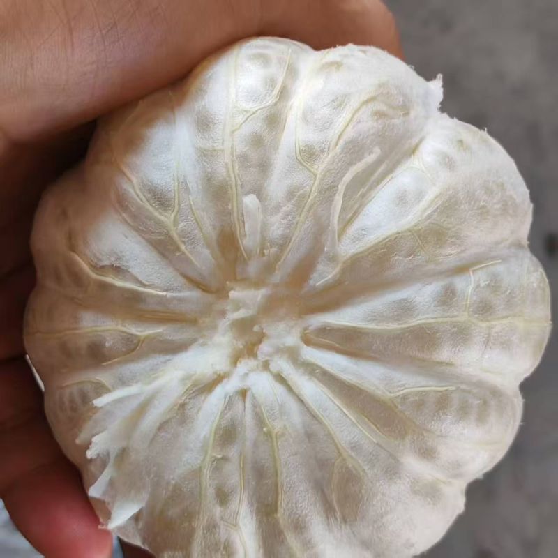 安福金兰柚