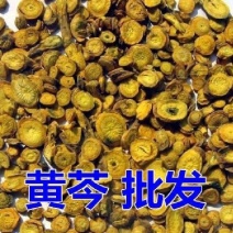 正品黄芩中药材黄芩批发黄芩茶正宗黄芩山西黄芩