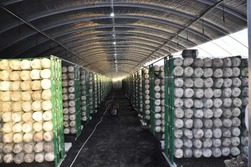 温室大棚骨架施工，物资，材料