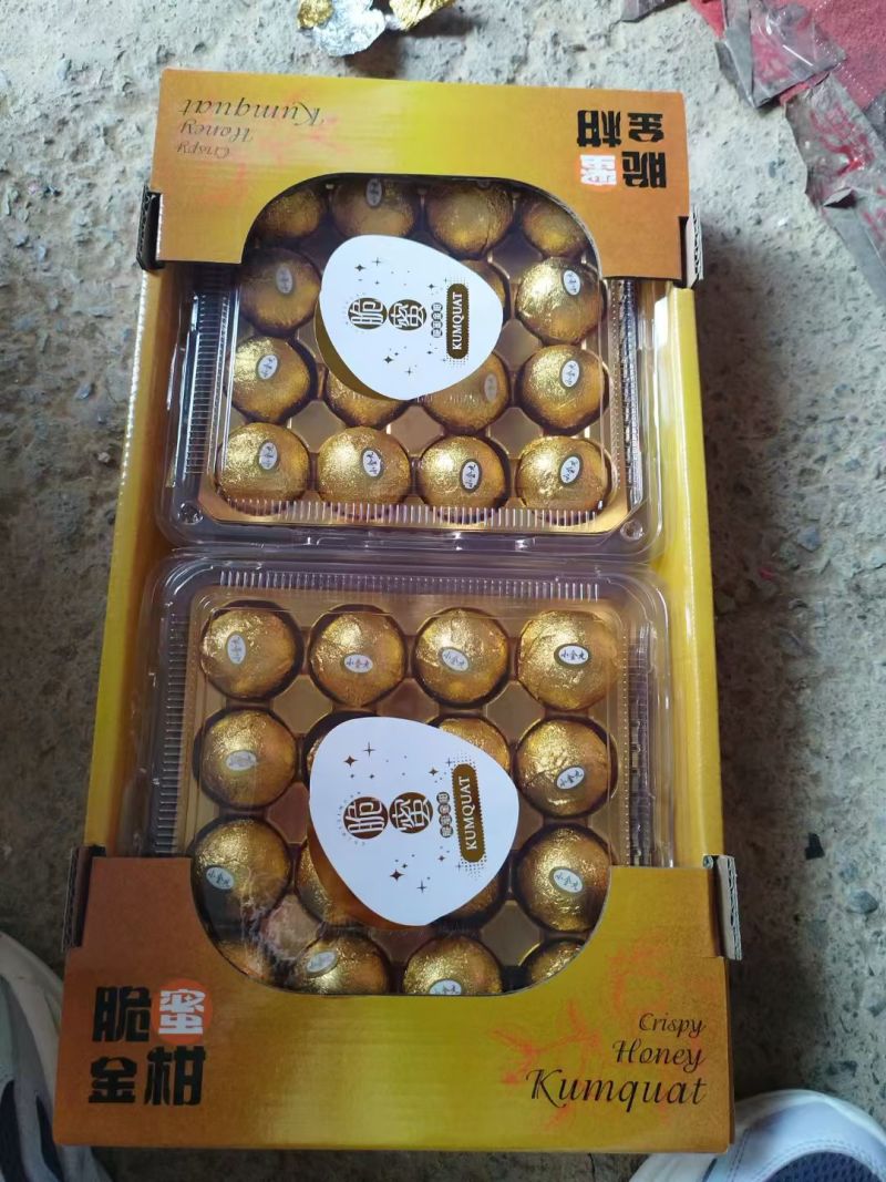 提供场地代收金桔，脆蜜金柑，脆皮金桔