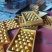 提供场地代收金桔，脆蜜金柑，脆皮金桔