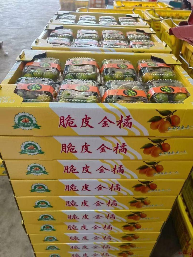 提供场地代收金桔，脆蜜金柑，脆皮金桔