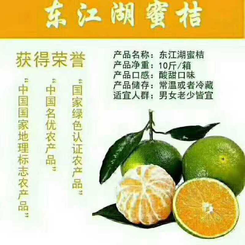 湖南清江蜜橘(东江湖蜜橘)