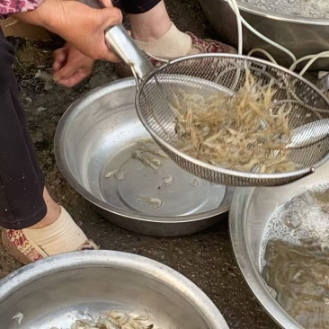 青虾，河虾