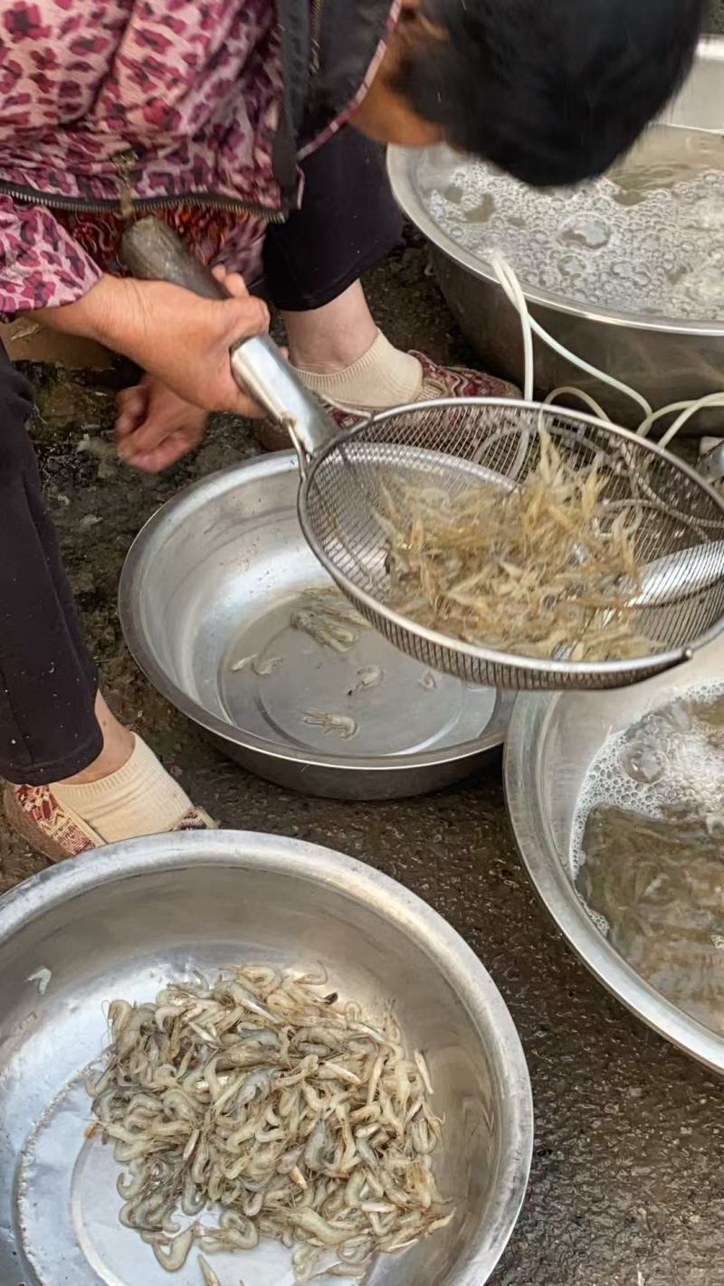 青虾，河虾