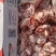 棒骨现货40吨，含肉量高