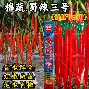 蜀辣三号线椒辣椒种子青红干条椒泡椒剁椒红椒酱高辣二荆条种